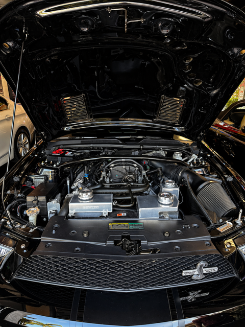 2009 Ford Mustang Shelby GT500 - Photo 16