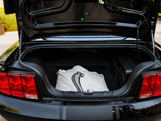 2009 Ford Mustang Shelby GT500 - Photo 8